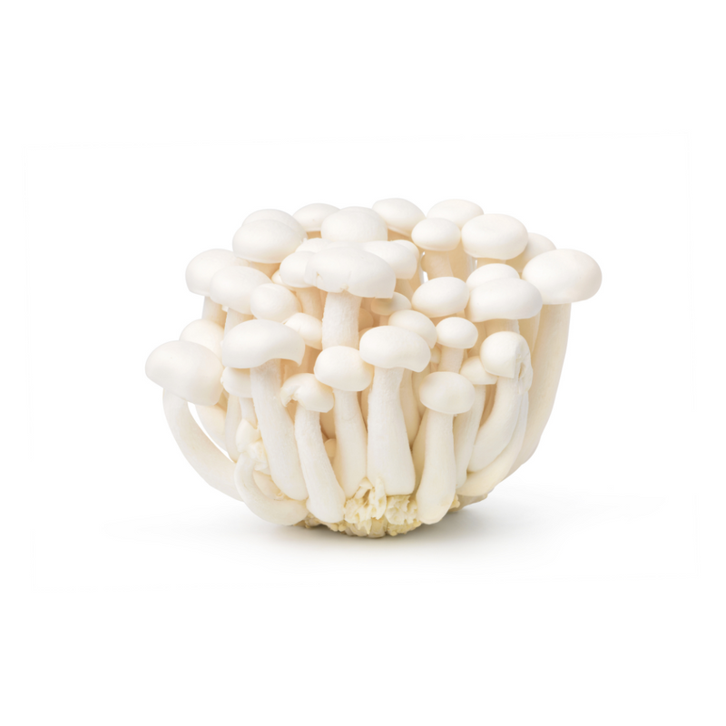 Mushroom-Shimeji White (Clamshell) 20x150g | London Grocery