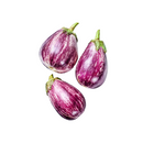 Pink Ravayya/Aubergine-Striped 4kg | London Grocery