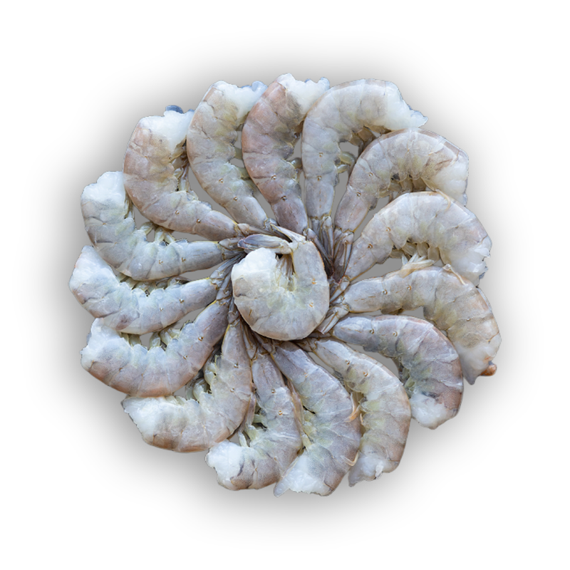 Frozen Raw Easy Peel Headless Shell On Fresh Water King Prawns 800g x 10 Packs (8-12 per pack) | London Grocery