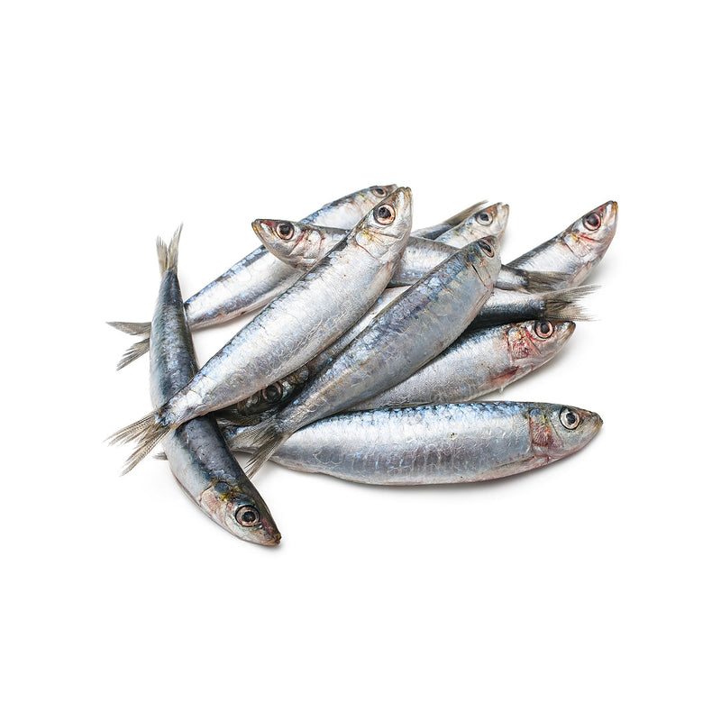 Frozen Sardines 1kg x 5 Packs | London Grocery