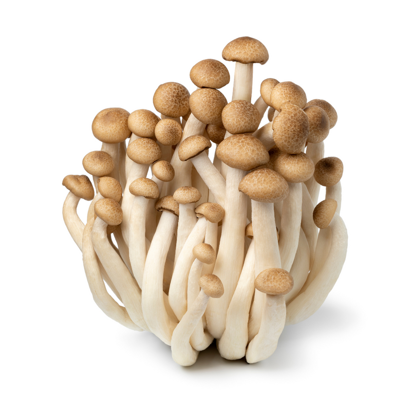 Mushroom-Shimeji Brown (Clamshell) 20x150g | London Grocery