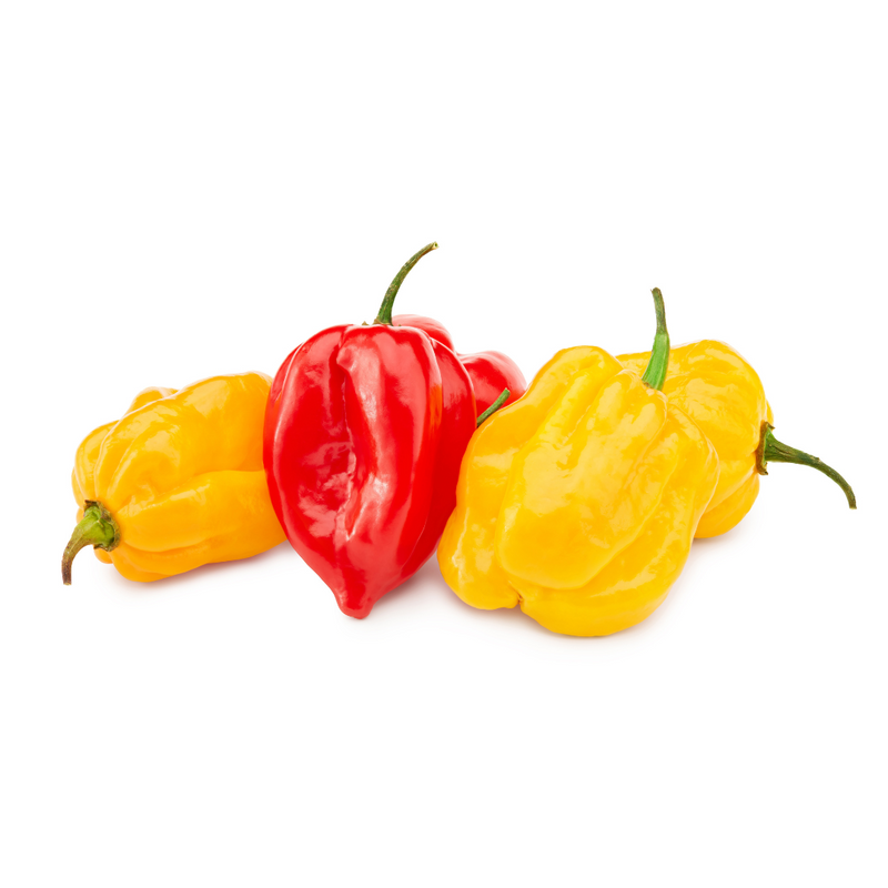 Hot Pep Spain 4kg | London Grocery