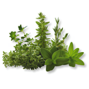 Vahaa Seedpod Kit - Vahaa BBQ Mix | London Grocery