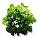 Vahaa Seedpod Kit - Vahaa Detox Mix | London Grocery