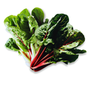 Vahaa Seedpod Kit - Vahaa Rainbow Chard | London Grocery