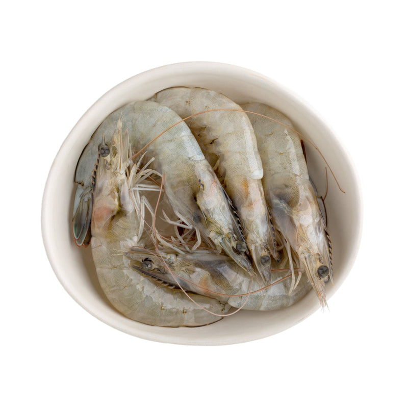 Raw Frozen Vannamei King Prawns Block 16-20 (800g x 6 Packs) | London Grocery