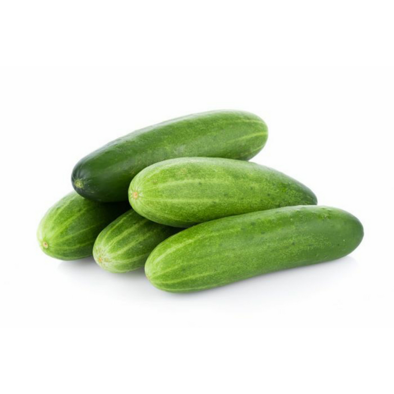 Cucumber Velary (INDIA) 5kg | London Grocery