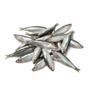 Frozen Whole Whitebait 454g x 20 Packs | London Grocery