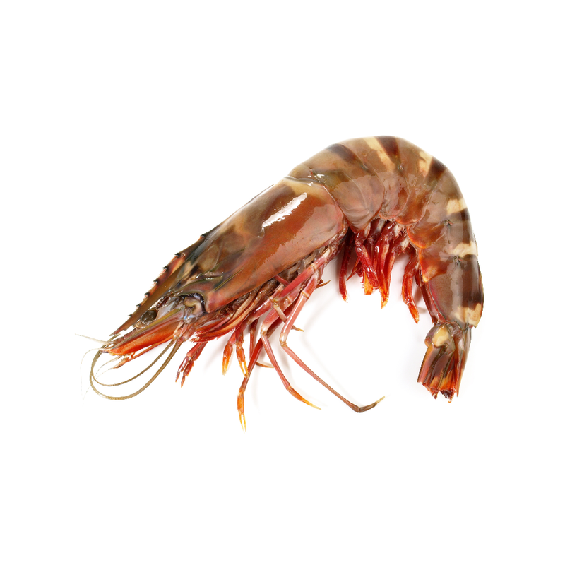 Wild Tiger Prawn XL (1kg) | London Grocery