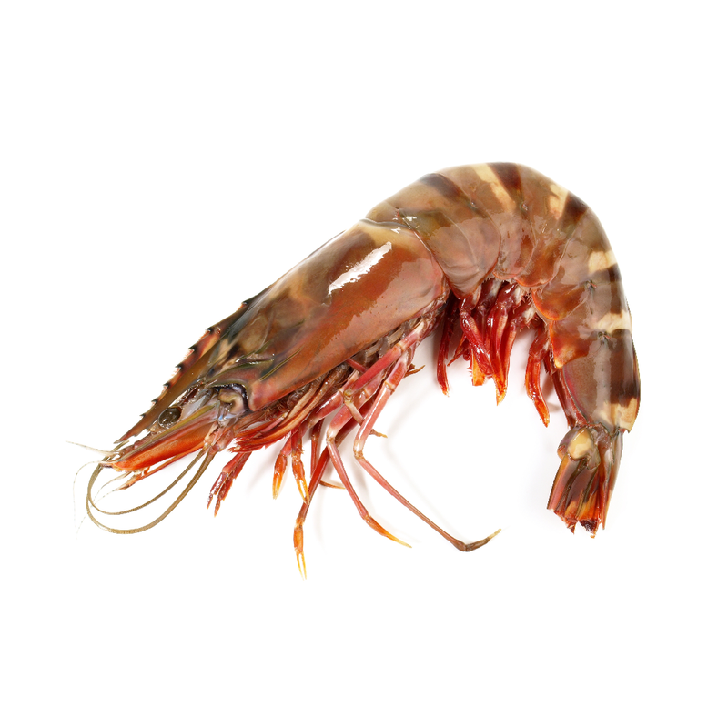 Wild Tiger Prawn XXL (1kg) | London Grocery