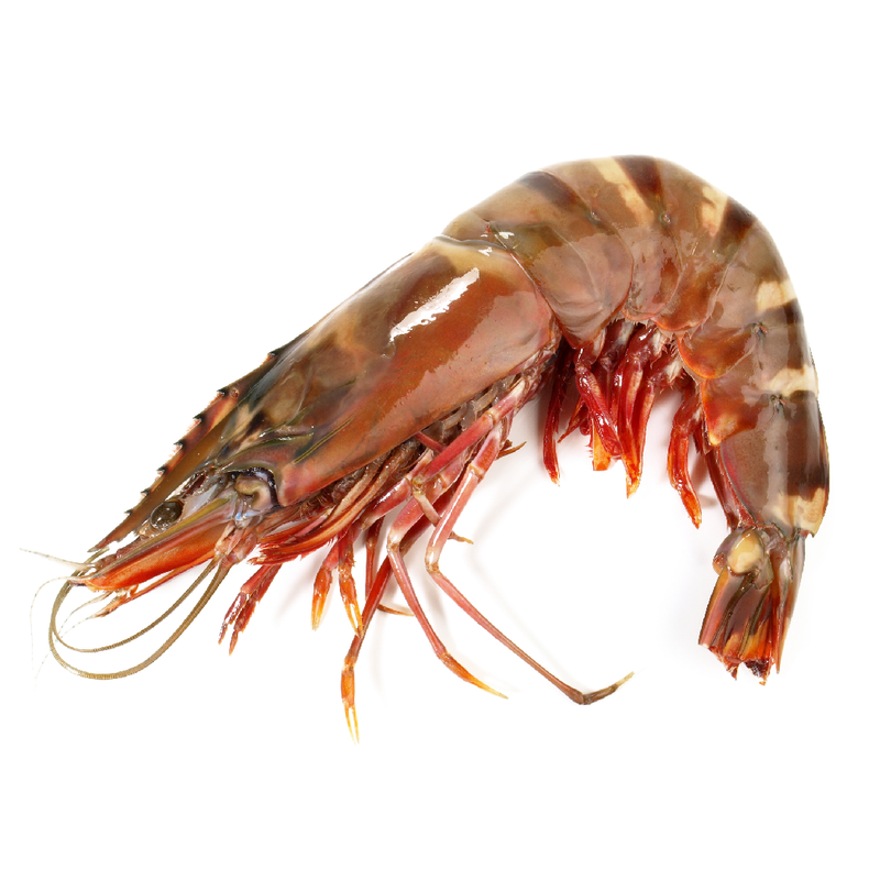 Wild Tiger Prawn XXXL (1kg) | London Grocery