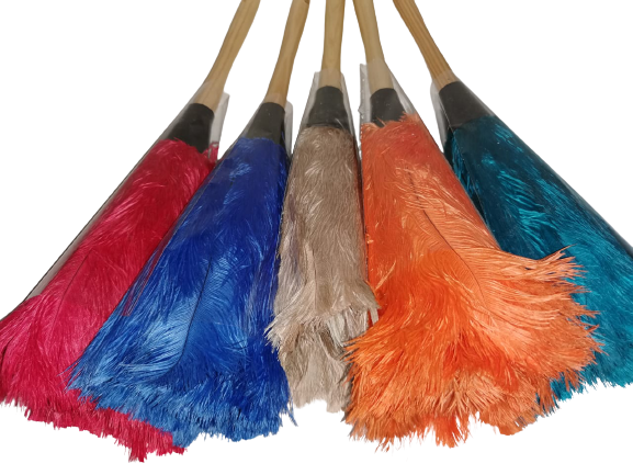 Ostrich Egg Feather Duster | London Grocery