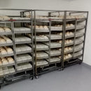 Buy Fresh Ostrich Egg Online with Safe Delivery | London Grocery