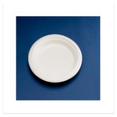 3373 NATURE PLATE ROUND 17 BIODEG. WHITE 8x50(400) UKPLT=108 |Eco Friendly | Case of 8 - London Grocery