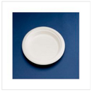 3373 NATURE PLATE ROUND 17 BIODEG. WHITE 8x50(400) UKPLT=108 |Eco Friendly | Case of 1 - London Grocery