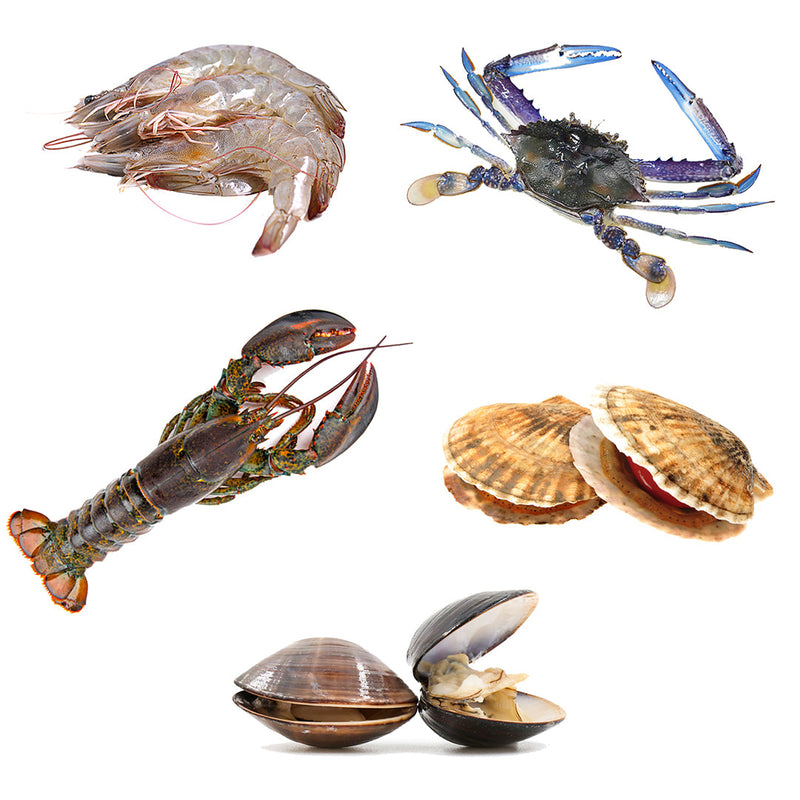Seafood Boil Box 2 | 5 Ingredients | Lobster| Blue Crabs | Shrimp |Clams | Scallops |4.6kg - London Grocery