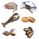 Seafood Boil Box 3 | 6 Ingredients | Lobster| Blue Crabs | Shrimp |Clams | Scallops | Mussels |5.6kg - London Grocery