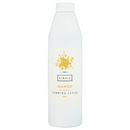 Simply Mango Flavour Topping Sauce 1000g x 1 - London Grocery