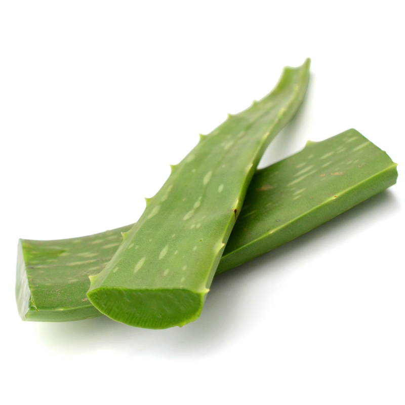 Fresh Aloe Vera Leaf 1 Unit  ~1.5-2 kg-London Grocery