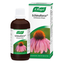 A. Vogel Echinaforce (100ml) | London Grocery