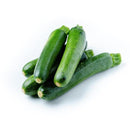 Fresh Mini Courgette / Zucchini 6 Units-London Grocery