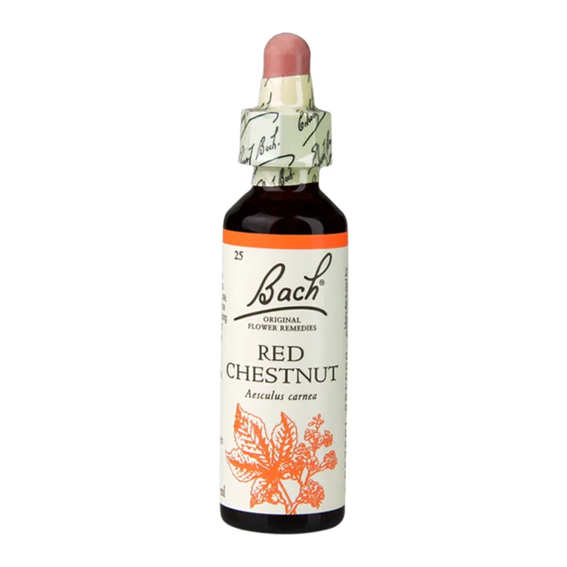 Bach Original Flower Remedies Red Chestnut 20ml | London Grocery