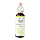 Bach Original Flower Remedies Honeysuckle 20ml | London Grocery