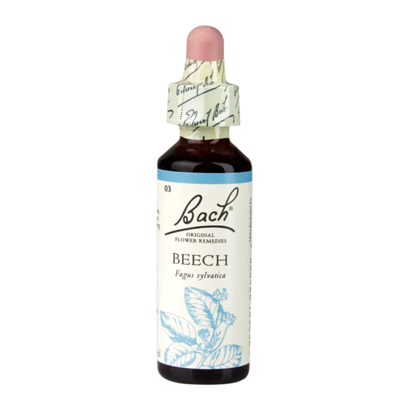 Bach Original Flower Remedies Beech 20ml | London Grocery