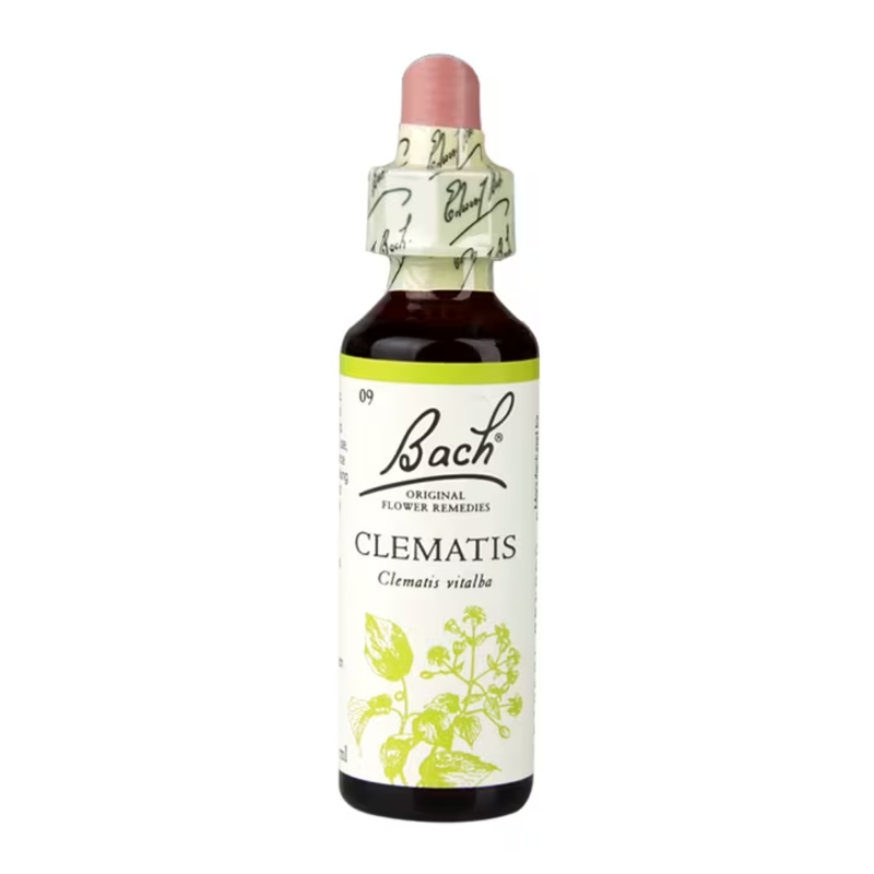 Bach Original Flower Remedies Clematis 20ml | London Grocery