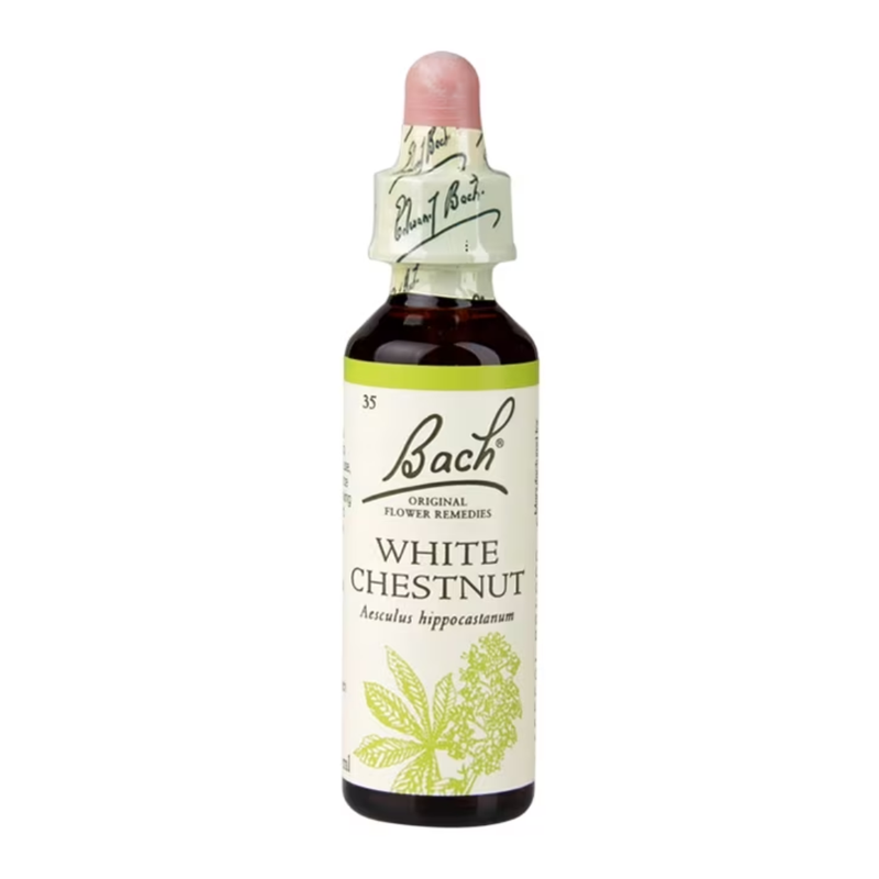 Bach Original Flower Remedies White Chestnut 20ml | London Grocery