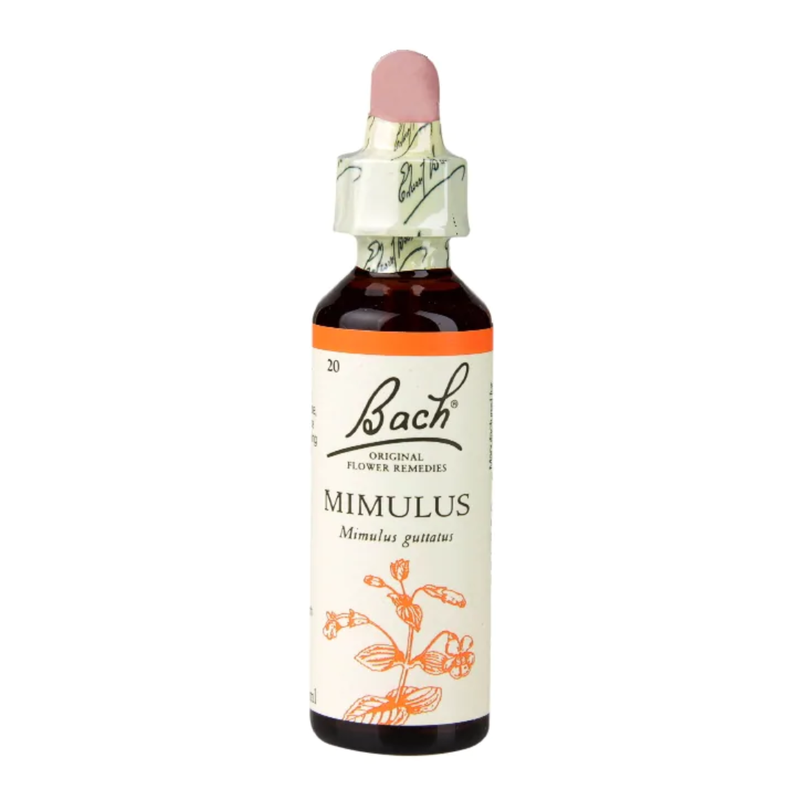 Bach Original Flower Remedies Mimulus 20ml | London Grocery