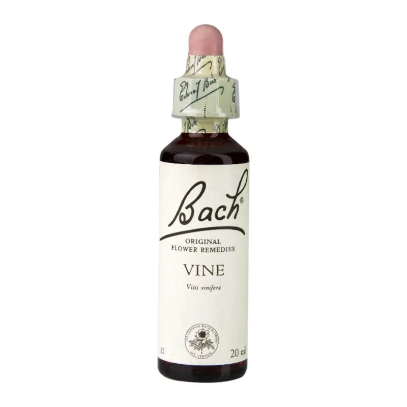 Bach Original Flower Remedies Vine 20ml | London Grocery
