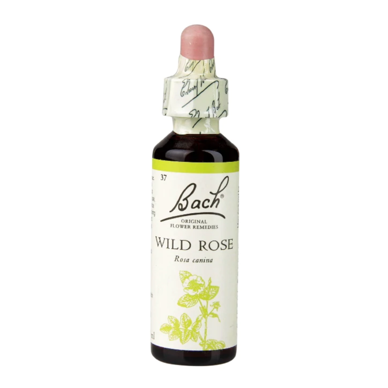 Bach Original Flower Remedies Wild Rose 20ml | London Grocery