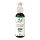Bach Original Flower Remedies Centaury 20ml | London Grocery