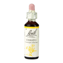 Bach Original Flower Remedies Cerato 20ml | London Grocery