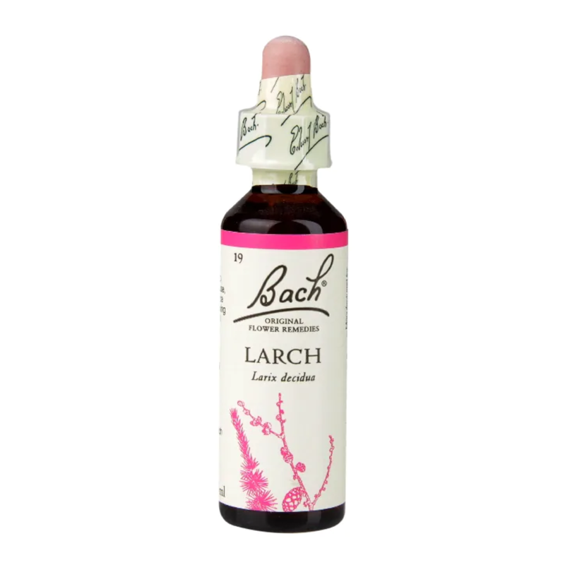 Bach Original Flower Remedies Larch 20ml | London Grocery
