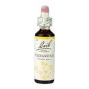 Bach Original Flower Remedies Scleranthus 20ml | London Grocery