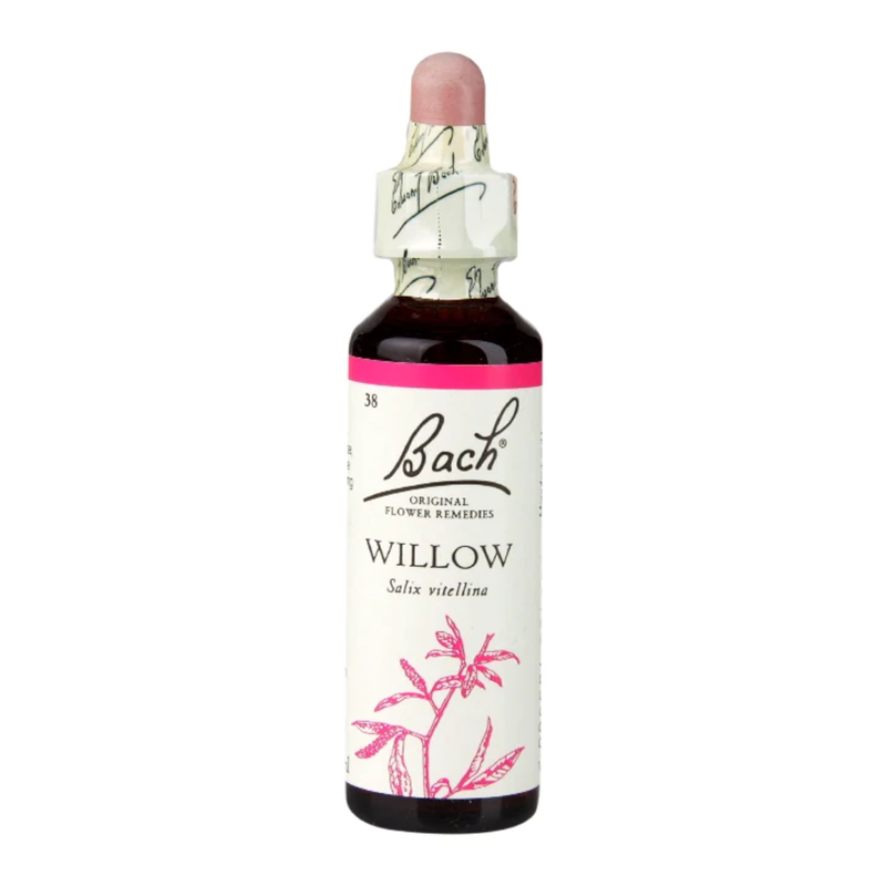 Bach Original Flower Remedies Willow 20ml | London Grocery