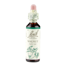 Bach Original Flower Remedies Walnut 20ml | London Grocery
