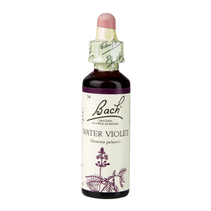 Bach Original Flower Remedies Water Violet 20ml | London Grocery
