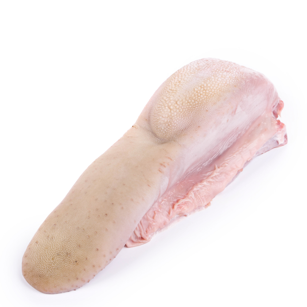 Tongue
