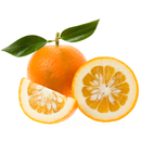 Bitter Orange - London Grocery