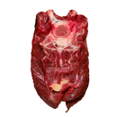 Halal Fresh Bone-in Deer Neck ~2kg | London Grocery