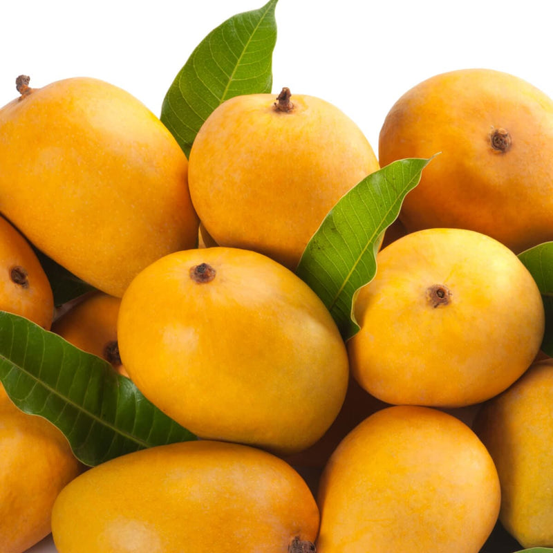Buy Berry Mango Online | Berry Mango Exotic Fruit | Berry Mango Variant