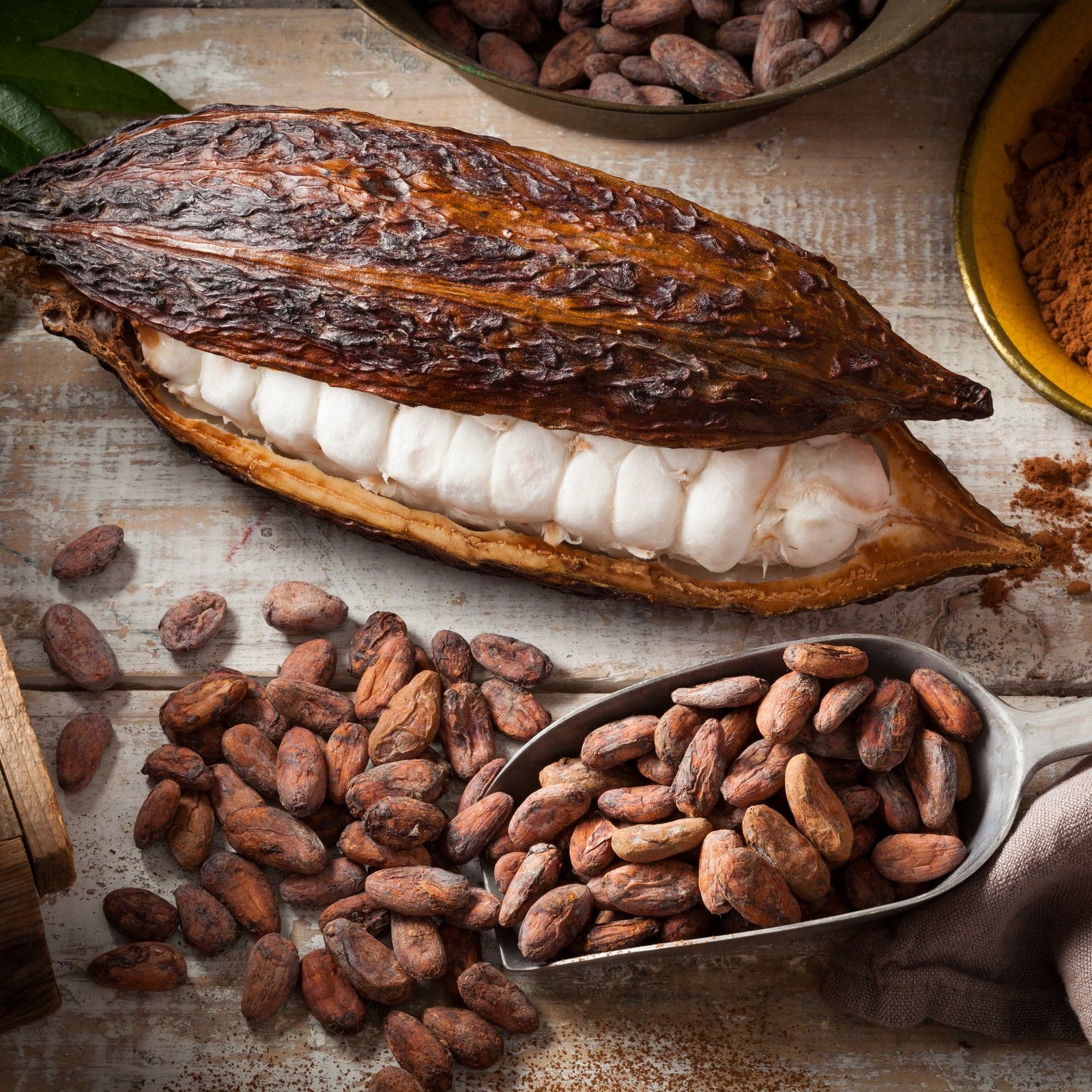 Buy Fresh Cacao Fruit Online in the UK St. Lucia Cacao Pod