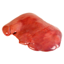 Calves Liver 3Kg | London Grocery