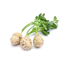 Celeriac 6Kg-9Kg Approximately London Grocery
