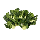 Fresh Chinese Dou Pak Choi 200gr -London Grocery