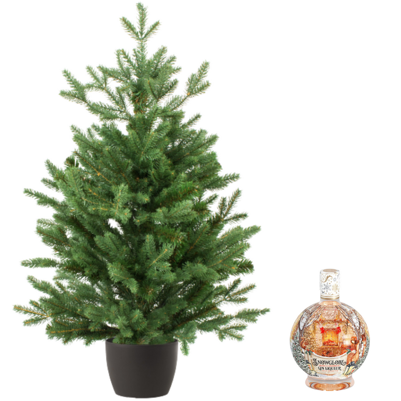 Real and Live Christmas Tree 3/5 ft with Snowglobe Gin Liqueur Hamper Gift Box-London Grocery