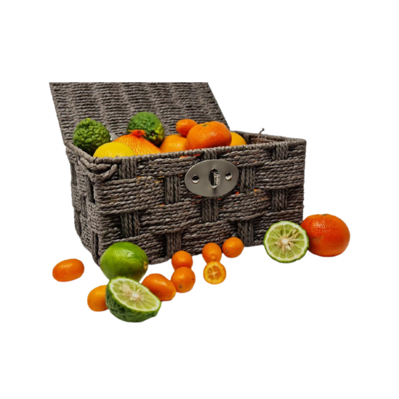 Fresh Citrus Fruits Hamper | 8 Kinds of Citrus Fruits  | London Grocery